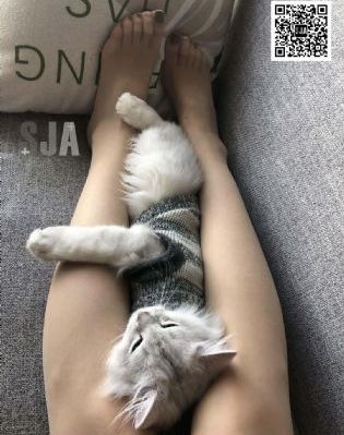 好姑娘影院_超清在线播放观看