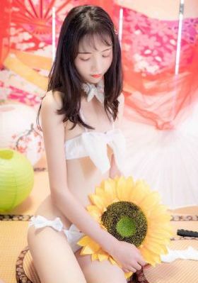 无码少妇一区二区三区免费关看_DVD高清视频播放